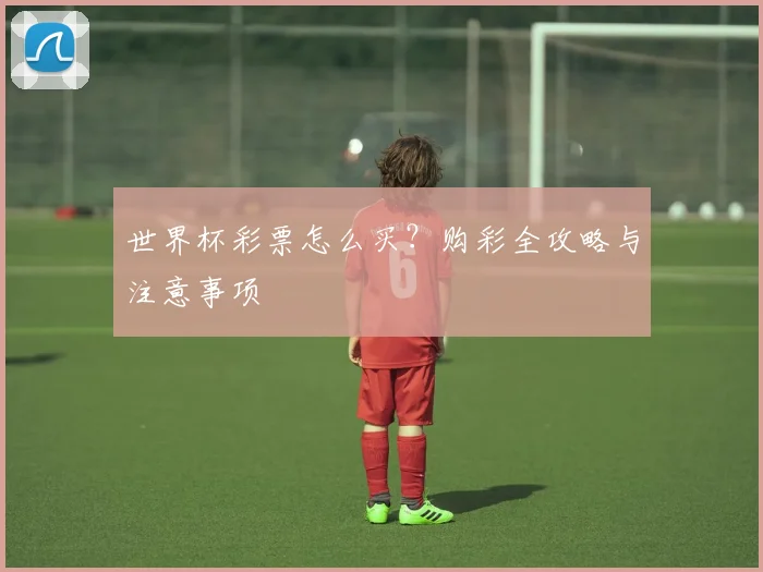 世界杯彩票怎么买？购彩全攻略与注意事项