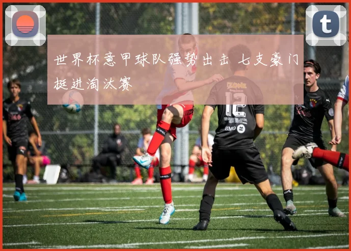 世界杯意甲球队强势出击 七支豪门挺进淘汰赛