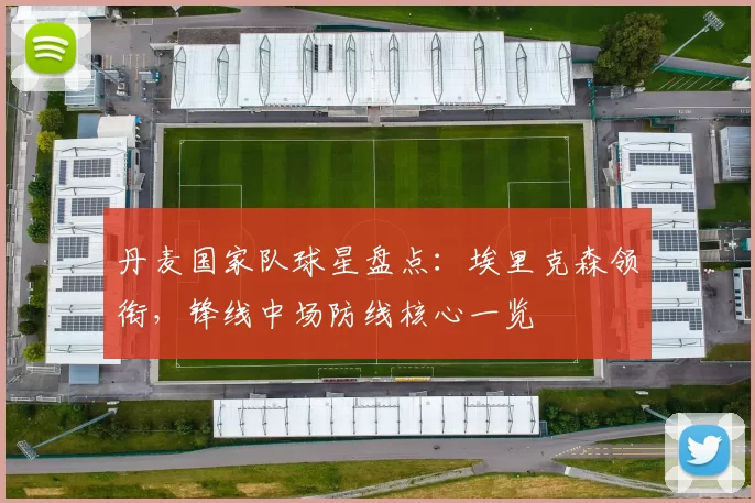 丹麦国家队球星盘点:埃里克森领衔,锋线中场防线核心一览