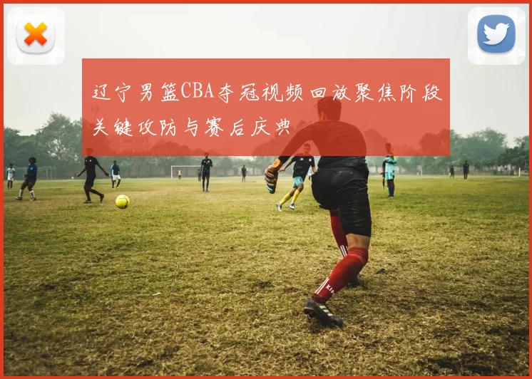 辽宁男篮CBA夺冠视频回放聚焦阶段关键攻防与赛后庆典