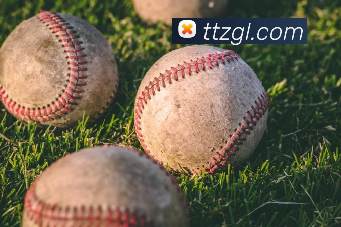 星空体育(中国)官方网站 - xingkong sports平台生态图